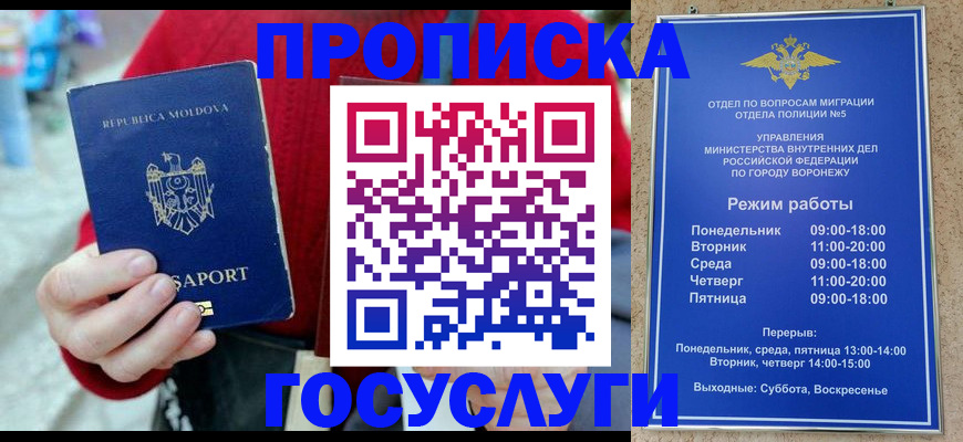 где прописаться в Краснодаре